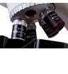 Микроскоп Levenhuk MED 45B