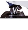 Микроскоп Levenhuk MED 35B