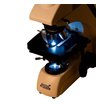 Микроскоп Levenhuk MED 30T