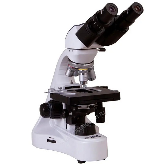 Микроскоп Levenhuk MED 10B