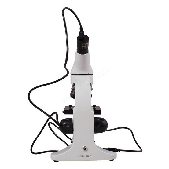 Цифровой микроскоп Levenhuk Rainbow D50L PLUS