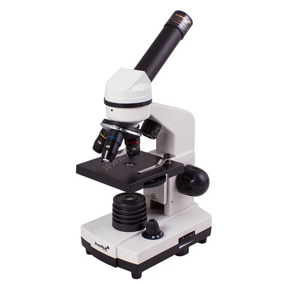 Цифровой микроскоп Levenhuk Rainbow D2L