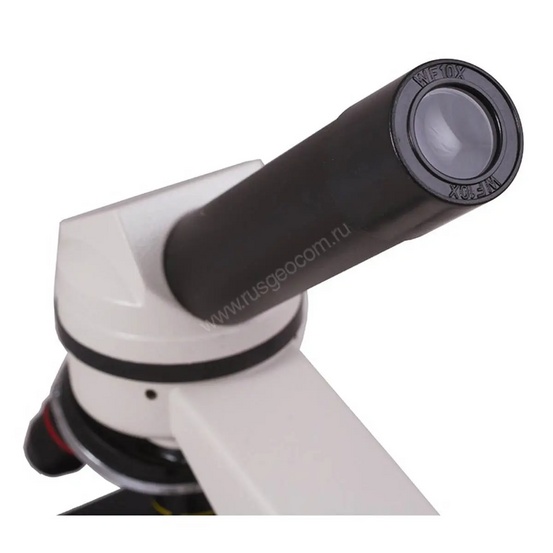 Цифровой микроскоп Levenhuk Rainbow D2L