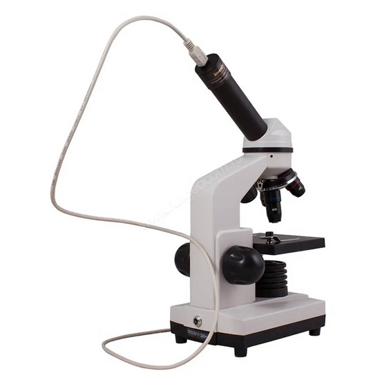 Цифровой микроскоп Levenhuk Rainbow D2L