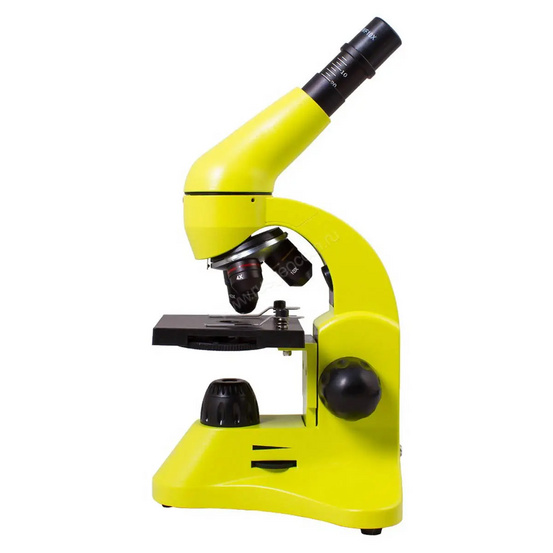 Микроскоп Levenhuk Rainbow 50L Lime (Лайм)