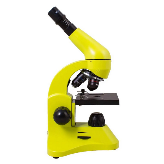 Микроскоп Levenhuk Rainbow 50L Lime (Лайм)
