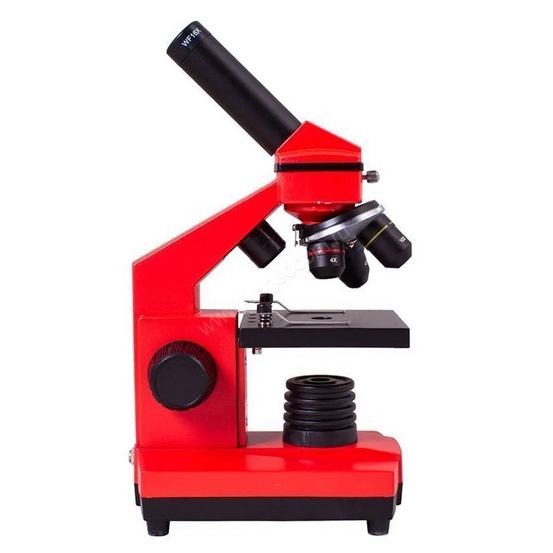 Микроскоп Levenhuk Rainbow 2L PLUS Orange (Апельсин)