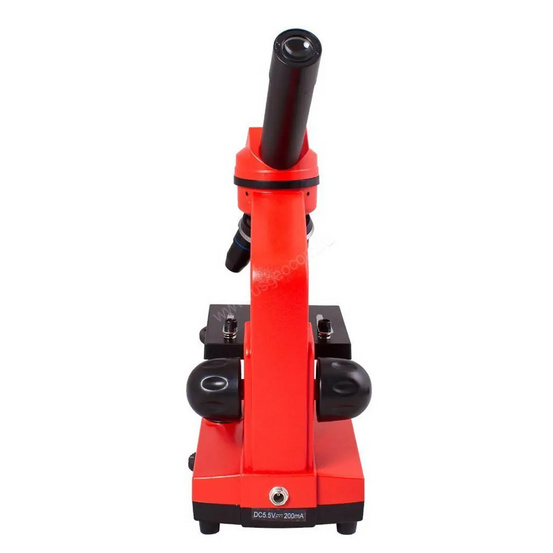 Микроскоп Levenhuk Rainbow 2L Orange (Апельсин)