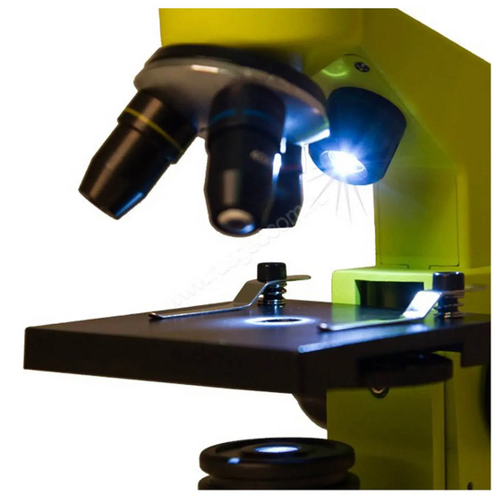 Микроскоп Levenhuk Rainbow 2L Lime (Лайм)