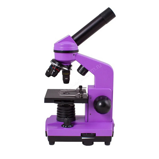 Микроскоп Levenhuk Rainbow 2L Amethyst (Аметист)