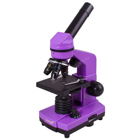 Микроскоп Levenhuk Rainbow 2L Amethyst (Аметист)