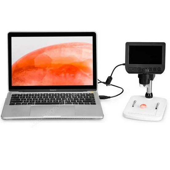 Цифровой микроскоп Levenhuk DTX 350 LCD