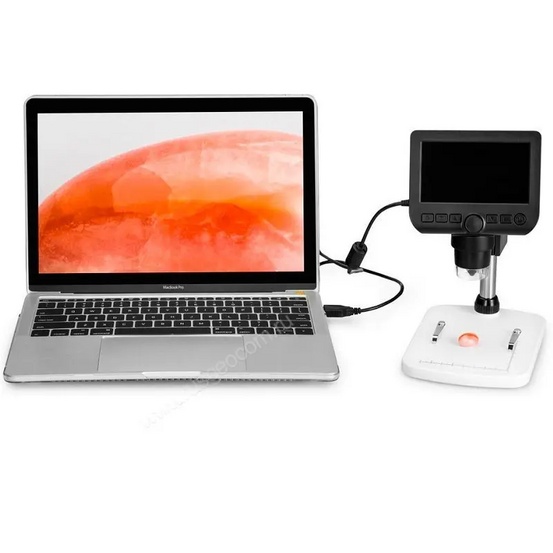 Цифровой микроскоп Levenhuk DTX 300 LCD