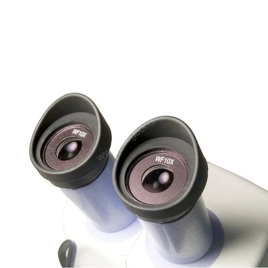 Цифровой микроскоп Levenhuk 5ST