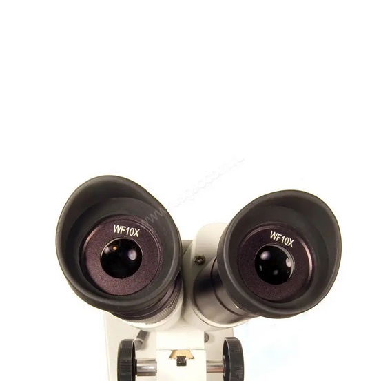 Цифровой микроскоп Levenhuk 2ST