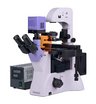 Микроскоп люминесцентный инвертированный цифровой MAGUS Lum VD500