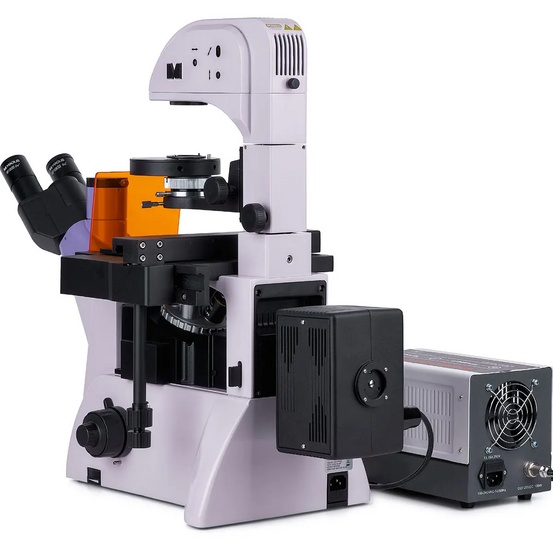 Микроскоп люминесцентный инвертированный цифровой MAGUS Lum VD500