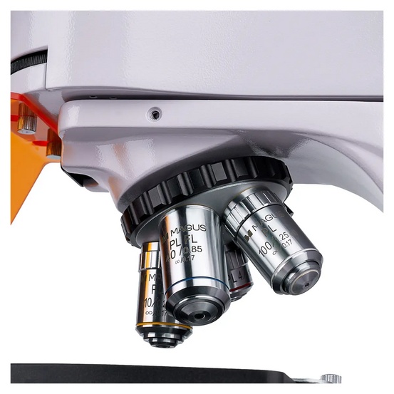 Микроскоп люминесцентный цифровой MAGUS Lum D400L LCD