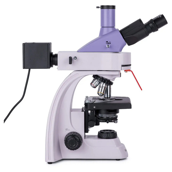 Микроскоп люминесцентный цифровой MAGUS Lum D400L