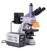 Микроскоп люминесцентный цифровой MAGUS Lum D400 LCD