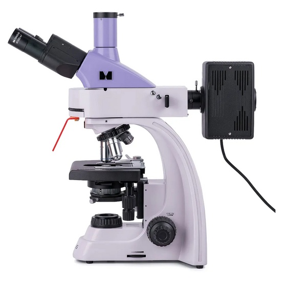 Микроскоп люминесцентный цифровой MAGUS Lum D400 LCD