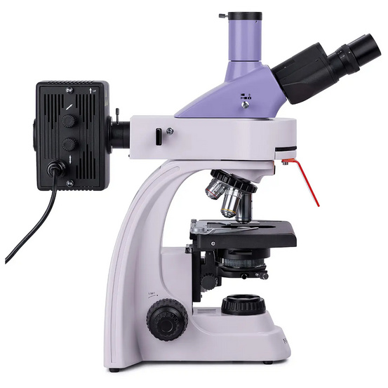 Микроскоп люминесцентный цифровой MAGUS Lum D400