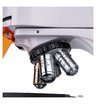 Микроскоп люминесцентный цифровой MAGUS Lum D400