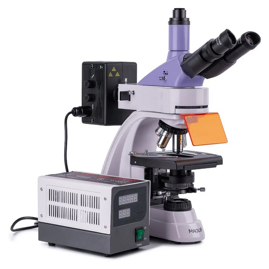 Микроскоп люминесцентный MAGUS Lum 400