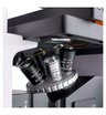 Микроскоп люминесцентный инвертированный цифровой MAGUS Lum V500