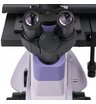 Микроскоп биологический инвертированный цифровой MAGUS Bio VD350
