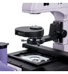 Микроскоп биологический инвертированный цифровой MAGUS Bio VD350