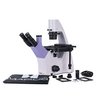 Микроскоп биологический инвертированный цифровой MAGUS Bio VD300 LCD