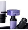Микроскоп биологический инвертированный цифровой MAGUS Bio VD300