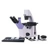 Микроскоп биологический инвертированный цифровой MAGUS Bio VD300