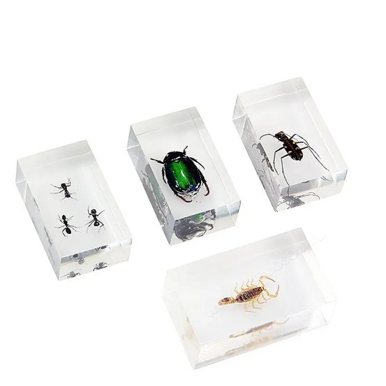 Набор насекомых 1 в акриле