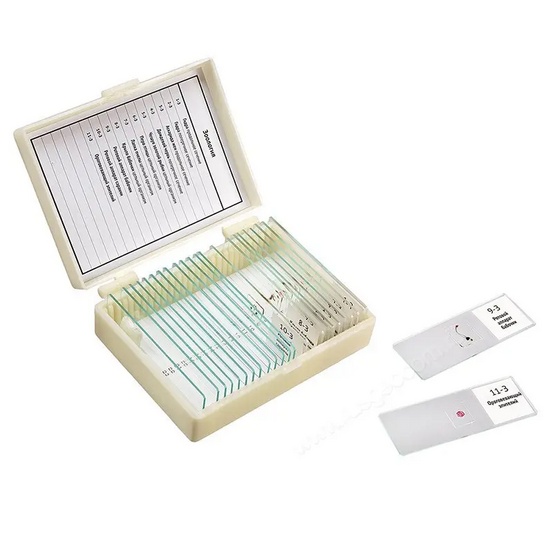 Набор микропрепаратов 