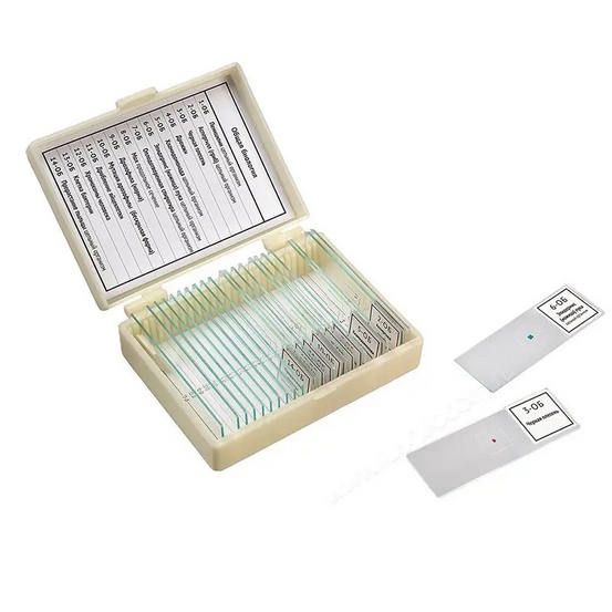 Набор микропрепаратов 