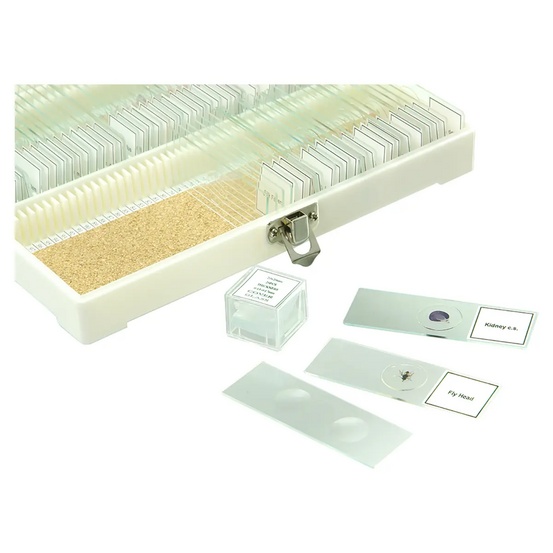 Набор микропрепаратов Микромед №80