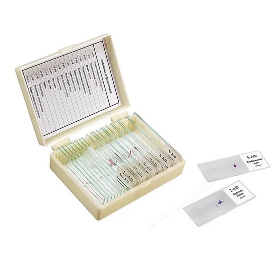 Набор микропрепаратов 