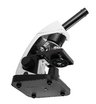 Микроскоп школьный Микромед Эврика 40x-1600x (вар. 3) с видеоокуляром