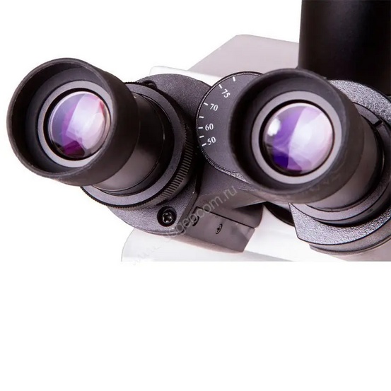 Цифровой микроскоп Levenhuk MED PRO 600 Fluo
