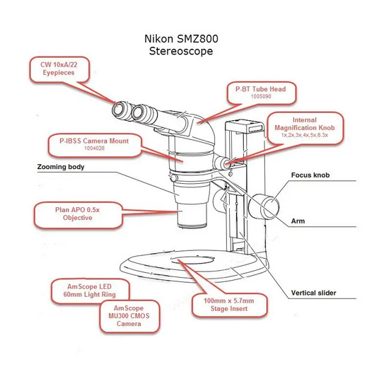 Микроскоп Nikon SMZ800