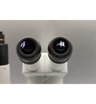 Микроскоп Nikon SMZ800