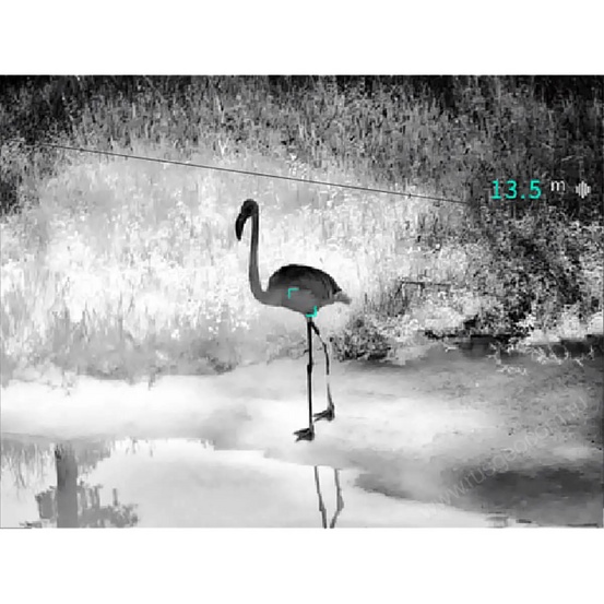 Тепловизионный бинокль Guide TN450