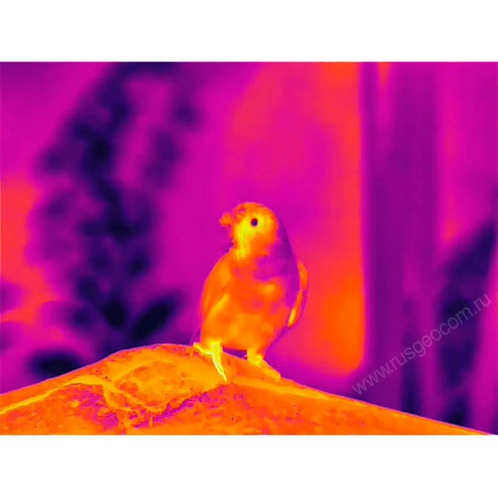 Тепловизионный бинокль Guide TN430