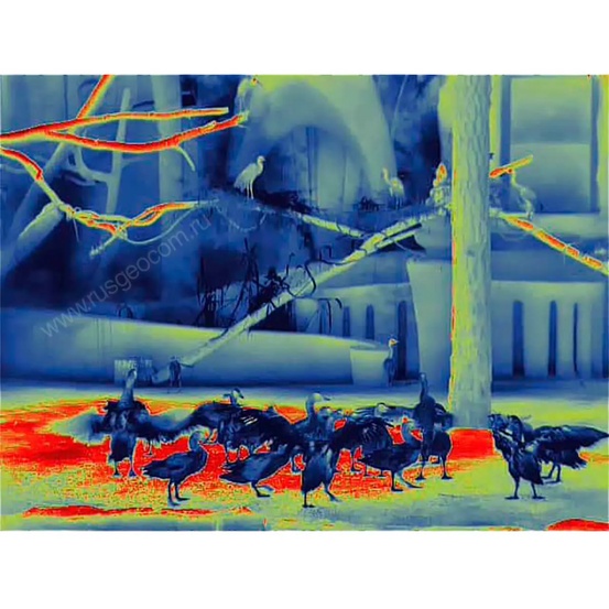 Тепловизионный бинокль Guide TN430