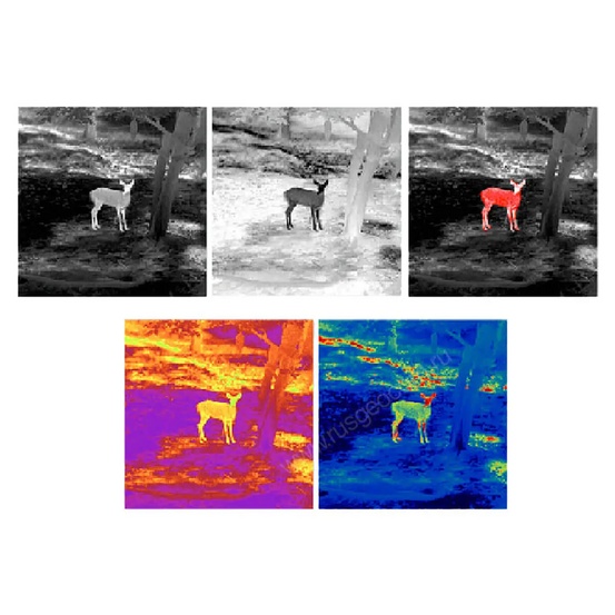 Тепловизионный монокуляр Guide TD210