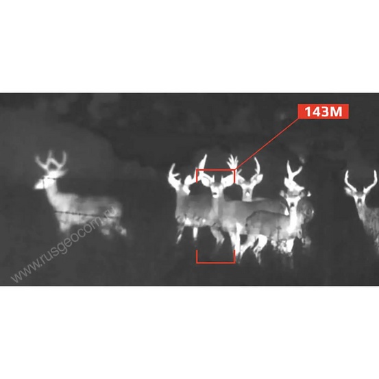 Тепловизионный прицел iRay Saim SCL 25