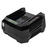 Зарядное устройство Greenworks GC82C 82V 4A