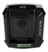 Зарядное устройство Greenworks GC82C 82V 4A